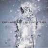 Massive Attack 100th Window